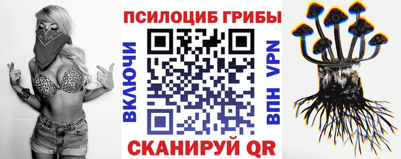 Галлюциногенные грибы прущие грибы  сколько стоит  сайты даркнета состав  Задонск 
